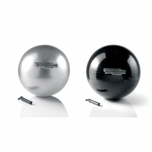 WELLNESS BALL 健身球 JNSPORTS江南健 TechnoGym
