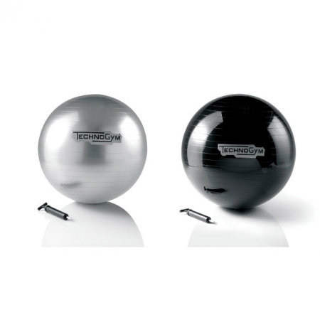 WELLNESS BALL 健身球 JNSPORTS江南健 TechnoGym